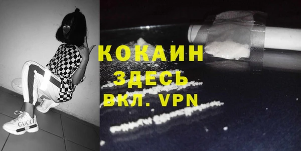 ПСИЛОЦИБИНОВЫЕ ГРИБЫ Арсеньев