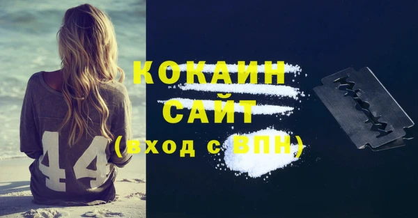 ПСИЛОЦИБИНОВЫЕ ГРИБЫ Арсеньев
