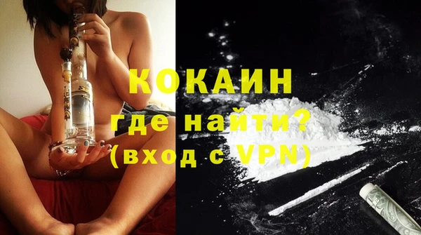 ПСИЛОЦИБИНОВЫЕ ГРИБЫ Арсеньев