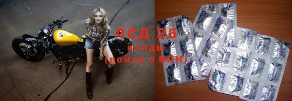 ПСИЛОЦИБИНОВЫЕ ГРИБЫ Арсеньев